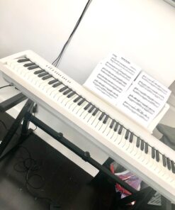 Knox Gear Heavy Duty Z-Style Keyboard Stand - Sturdy Height & Width Adjustable Keyboard Stand - Professional Digital Keyboard Piano Stand or Synth Stand - Piano Keyboard Stand 88 Key or Smaller 37 817NUBnt5YL