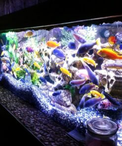 Seachem Stability Fish Tank Stabilizer - For Freshwater and Marine Aquariums, 16.9 Fl Oz (Pack of 1) 29 817NYVSzhxL