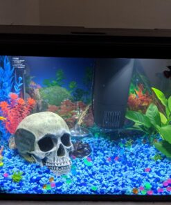 SunGrow 50 pcs Catappa Indian Almond Leaves for Betta Fish Tank Aquarium, 2” Water Conditioner Leaves, Leaf Also Suitable for Shrimp, Goldfish, Guppy and Frogs 50 Leaves 51 817T16ObIRL