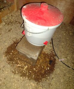 Farm Innovators HB-60P Thermostatically Controlled Heated 2 Gallon Plastic Outdoor Year Round Poultry Chicken Water Bucket Drinker, White/Red Single 26 817TRaAWzkL