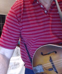 D'Addario Accessories Leather Mandolin Strap - Mandolin Accessories - Cradle Style - Black 23 817TSB5ELFL