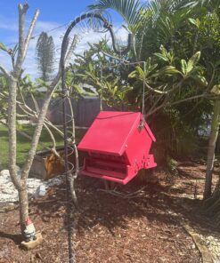 Heritage Farms Mini Absolute II Bird Feeder 9 817TkHbIyCL