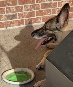 Chuckit Max Glow Paraflight Flying Disc Dog Toy, Large (9.75"), Green And White Green/Max Glow 26 817Vgh gckL