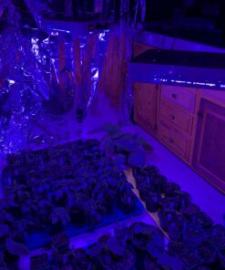 KingLED 2023 Newest 1500w LED Grow Lights with Samsung LM301B LEDs 4 * 4 ft Coverage Full Spectrum Grow Lights for Indoor Hydroponic Plants Greenhouse Growing Lamps Veg Bloom Daul Mode 48 817WZAYPvSL