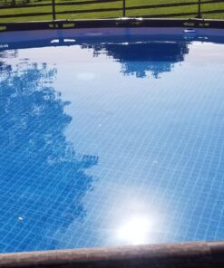 Intex Handheld Rechargeable Vacuum with Telescoping Aluminum Shaft and Two Interchangeable Brush Heads , Gray/Black 40 817Wh0kXgPL