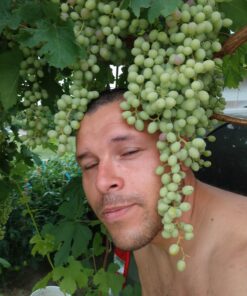 Glucosamine Chondroitin MSM Turmeric Boswellia - Joint Support Supplement. Antioxidant Properties. Helps with Inflammatory Response. Occasional Discomfort Relief for Back, Knees & Hands. 90 Capsules Glucosamine Chondroitin 41 817XOI8mM6L