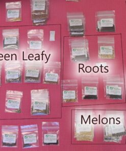 Heirloom Seeds for Planting Vegetables and Fruits - Survival Essentials 135 Variety Seed Vault - Medicinal Herb Seeds - Grow Healthy Non-GMO Food 51 817ZpzI4E6L