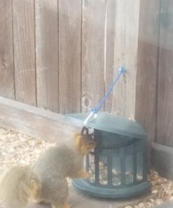 Woodlink Squirrel Diner Feeder Model 75590 beige 35 817dog5xrSL