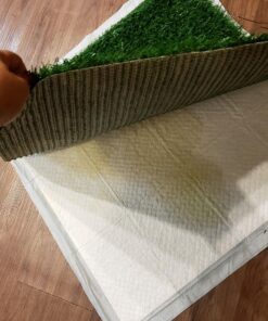 American Kennel Club Scented Puppy Training Pads with Ultra Absorbent Quick Dry Gel – 22 x 22 Puppy Pads - Fresh Scented - Pack of 50 22" x 22" - Pack of 50 31 817eOUbPzL