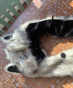 White Wolf Hood Faux Fur Hat with scarfs mittens & paws 3 in 1 by Hatbutik 38 817fUOuLc5L 1