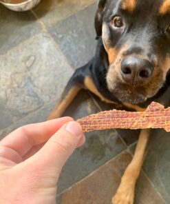 Kingdom Pets Duck Breast Jerky, Premium Treats for Dogs, 40 oz. Bag 48 817hUs3BPiL