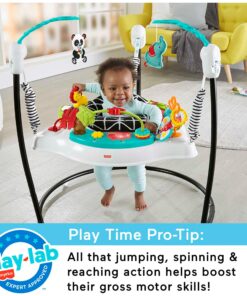Fisher-Price Baby Bouncer Animal Wonders Jumperoo Activity Center With Music Lights Sounds And Developmental Toys 26 817jI7DXbyL