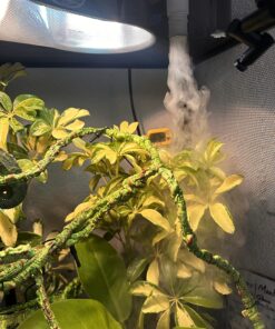 Croci Zoo Med Reptile Fogger Terrarium Humidifier,Black 19 817kwRt6DAL