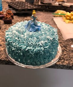 LorAnn Food Coloring Powder 1/2 Ounce, Set of 5 Colors 27 817p4vZ9jL