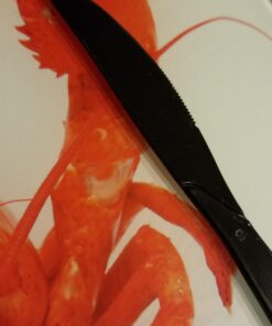 J.K. Adams PRP-2 19-Inch-by-2-Inch Maple Wood Rolling Dowel 19 817rLTdoHPL