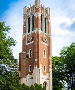 Nikon D500 DX-Format Digital SLR (Body Only), Base 83 817rrSNkI1L