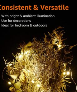 Amazon Basics 9ft 25 LED Fairy Lights, Battery Powered Outdoor String Lights for Bedroom, 2-pack (50 LEDs total), Warm White 25 LEDs, Fairy String - 2 pack 41 817v4HfwmVL