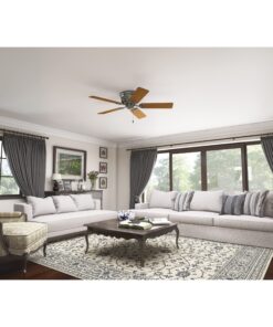 Hunter Fan Company Low Profile 52-inch Indoor Antique Pewter Traditional Ceiling Fan Without Light Kit, Includes Pull Chains, and Reversible WhisperWind Motor Antique Pewter finish 14 817ygaw09nL