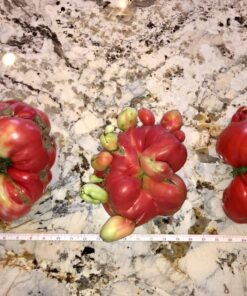 Advanced Nutrients 5450-14 Voodoo Juice Fertilizer, 1 Liter 7 8188384AyL