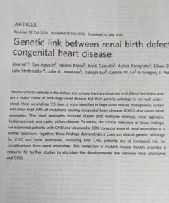 GPC Image Compatible Ink Cartridge Replacement for HP 564XL 564 XL Compatible with DeskJet 3520 3522 Officejet 4620 Photosmart 5520 6510 7520 7525 Printer (4 Black) 28 818AJ7Yo4AL