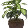 Nearly Natural 6592-05 Golden Dieffenbachia with Wood Vase Decorative Silk Plant, Green 33 818DkQWkPFS