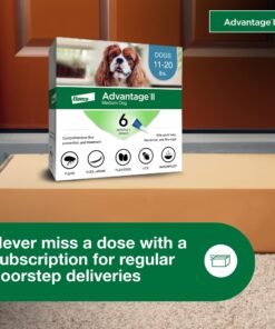 Advantage II Medium Dog Vet-Recommended Flea Treatment & Prevention | Dogs 11-20 lbs. | 6-Month Supply 6-Pack 24 818EE9GoukL