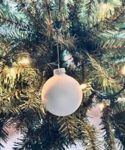 ORNAMENT ANCHOR Ornament Hooks for Hanging Christmas Decorations - No-Slip Hanging Hooks for Xmas - Heavy Duty Christmas Tree Ornaments Hanger Hooks for Small & Large Ornaments (Green, 24 Count) Green 23 818Ilj7ZQzL