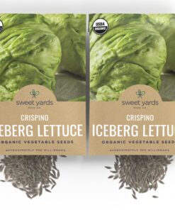Organic Iceberg Lettuce Seeds ‘Crispino’ – Two Seed Packets! – Over 600 Open Pollinated Non-GMO Seeds – Sweet Yards Seed Co. Two-Pack 6 818Imj9LJL