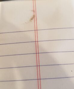 Amazon Basics Narrow Ruled Lined Writing Note Pad, 5 inch x 8 inch, White, 12 Count (12 Pack of 50 pages) 5-Inch by 8-Inch 36 818JomtsndL