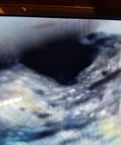 Sewer Jetter Kit 1/4" NPT x 100' Hose & 4.5 Orifice Button Nose Nozzle 4000 PSI 1/4 in. 20 818LGqvWnJL