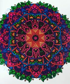 Mandala Coloring Book: 100+ Unique Mandala Designs and Stress Relieving Patterns for Adult Relaxation, Meditation, and Happiness (Magnificent Mandalas) Paperback, Large Print 99 818R2Ze1T3L