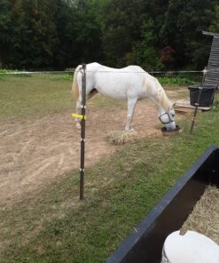 Intervet Safeguard Dewormer Pellets for Horses, 1.25-Pound 13 818RM2KidtL