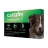 Capstar (nitenpyram) for Dogs, Fast-Acting Oral Flea Treatment for Dogs over 25+ lbs, Vet-Recommended Flea Medication Tablets Start Killing Fleas in 30 Minutes, 6 Doses 6 Count Over 25 lbs