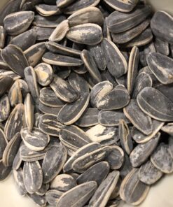 DAVID Roasted and Salted Original Sunflower Seeds, 1.625 oz, 12 Pack 37 818UeHMrANL