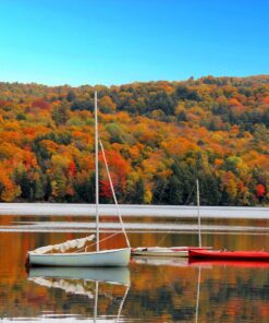 Stunning Digital Photography 29 818UtaP7GXL