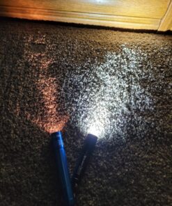 OLIGHT 90 Lumens i3E EOS PMMA TIR Lens AAA Flashlight Compact Keychain Flashlight EDC Flashlight for Night, Camping(Black) Black 38 818VbIeGJqL