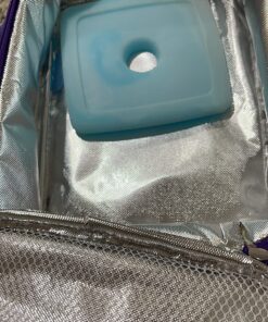 Cool Coolers by Fit + Fresh, 4 Pack Slim Ice Packs, Space Saving Reusable Ice Packs for Lunch Boxes or Coolers, Single Pack Pack of 4 43 818XBR7nK6L