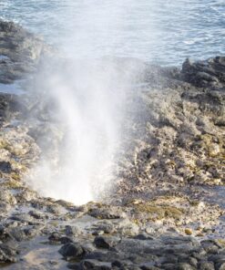 Sigma 150-600mm 5-6.3 Sports DG OS HSM Lens for Canon Canon SLR Mount US Version 120 818XWpzsLpL