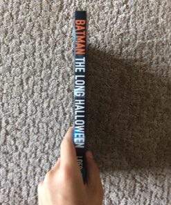 Batman: The Long Halloween Paperback 27 818YJVY8LcL