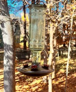 Perky-Pet 8108-1SR Antique Glass Bottle Hummingbird Feeder - Outdoor Garden Décor - 10 Oz Green Bottle 14 818Z4ipGVHL