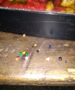 MarvelBeads Water Beads Rainbow Mix (1 Pound Bulk), for Kids Sensory Play and Spa Refill, BPA & Phthalate Free 65 818ZBBUpnJL