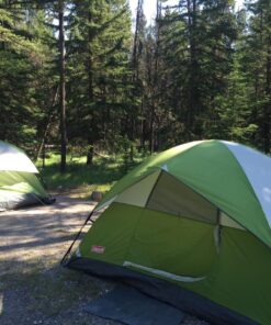 Coleman Sundome Camping Tent, 2/3/4/6 Person Dome Tent with Snag-Free Poles for Easy Setup in Under 10 Mins, Included Rainfly Blocks Wind & Rain, Tent for Camping, Festivals, Backyard, Sleepovers Palm Green 4 Person 28 818ZhGNbtRL