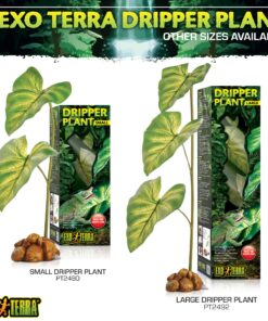 Exo Terra Dripper Plant, Large Standard Packaging 24 818bkjTcH4L