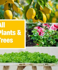 Humboldts Secret Golden Tree: World's Best Fertilizer (2.5 Gallon) 2.5 Gallon 11 818cPgQ8ryL 2