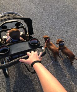 Baby Trend Expedition Jogger Stroller, Phantom 44 818cRtjes0L