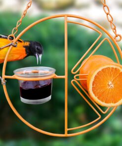 Alternative view of Heath Outdoor Products CF-133 Clementine Oriole Feeder , orange Oriole Bird Feeder
