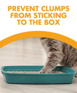 ARM & Hammer Cat Litter Deodorizer 30 oz 1.87 Pound (Pack of 1) 27 818ogeG18GL