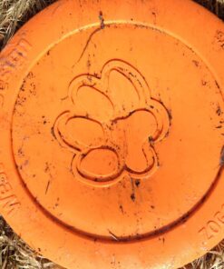 West Paw Zogoflex Zisc Dog Flying Disc, High Flying Aerodynamic Disc for Dogs Puppy – Lightweight, Floatable Disc for Fetch, Tug of War, Catch, Play – Doubles as Food/Water Bowl, Large 8.5", Tangerine 1 20 818q6qxWkL