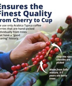 Island Blue 100% Jamaica Blue Mountain Medium Roasted Whole Beans Coffee (8oz) 8 Ounce (Pack of 1) 12 818r7xHV3VL