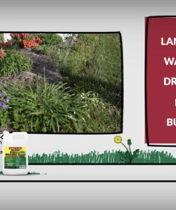 Compare-N-Save 75324 Herbicide, 1-gallon, white 34 818s0Q9JQaL